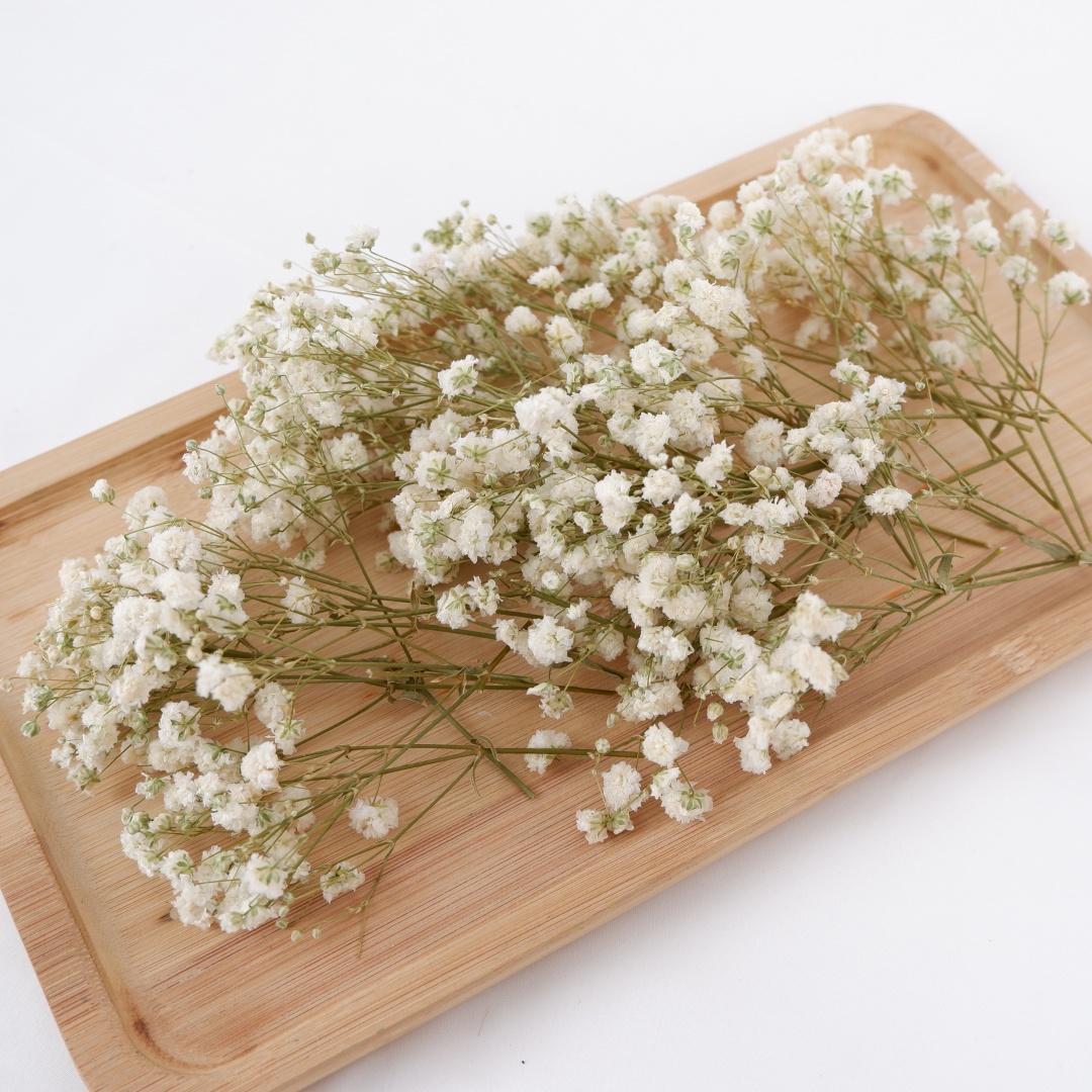Baby Breath Dried - Flores secas Mini flores secas blancas