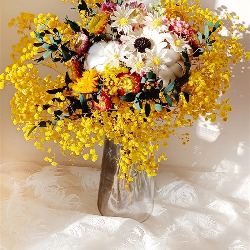 Baby Breath Dried - Flor seca Natural Gypsophila, ramo de