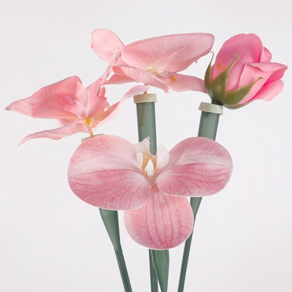 Florist Supply Shop - Tubos Conservantes Florales, Frascos de Plástico