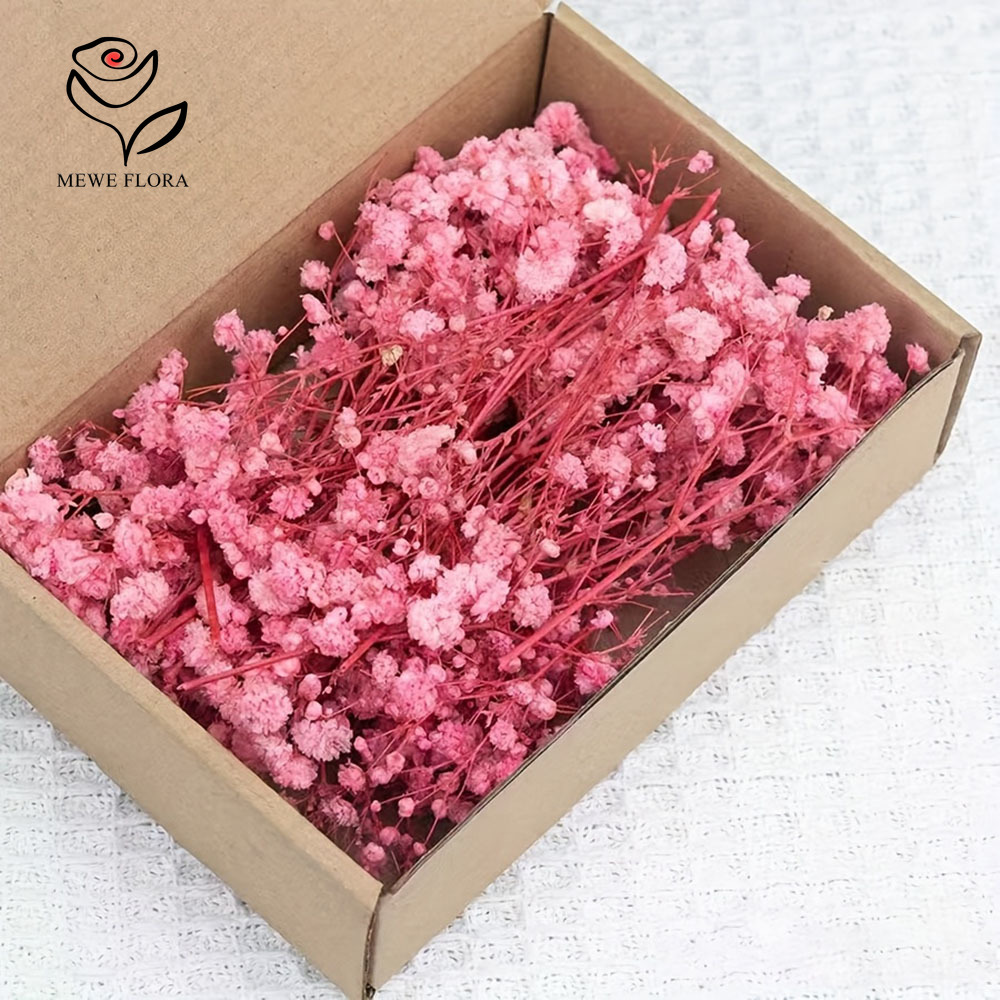 Baby Breath Dried - 100 ramas pequeñas de flores secas