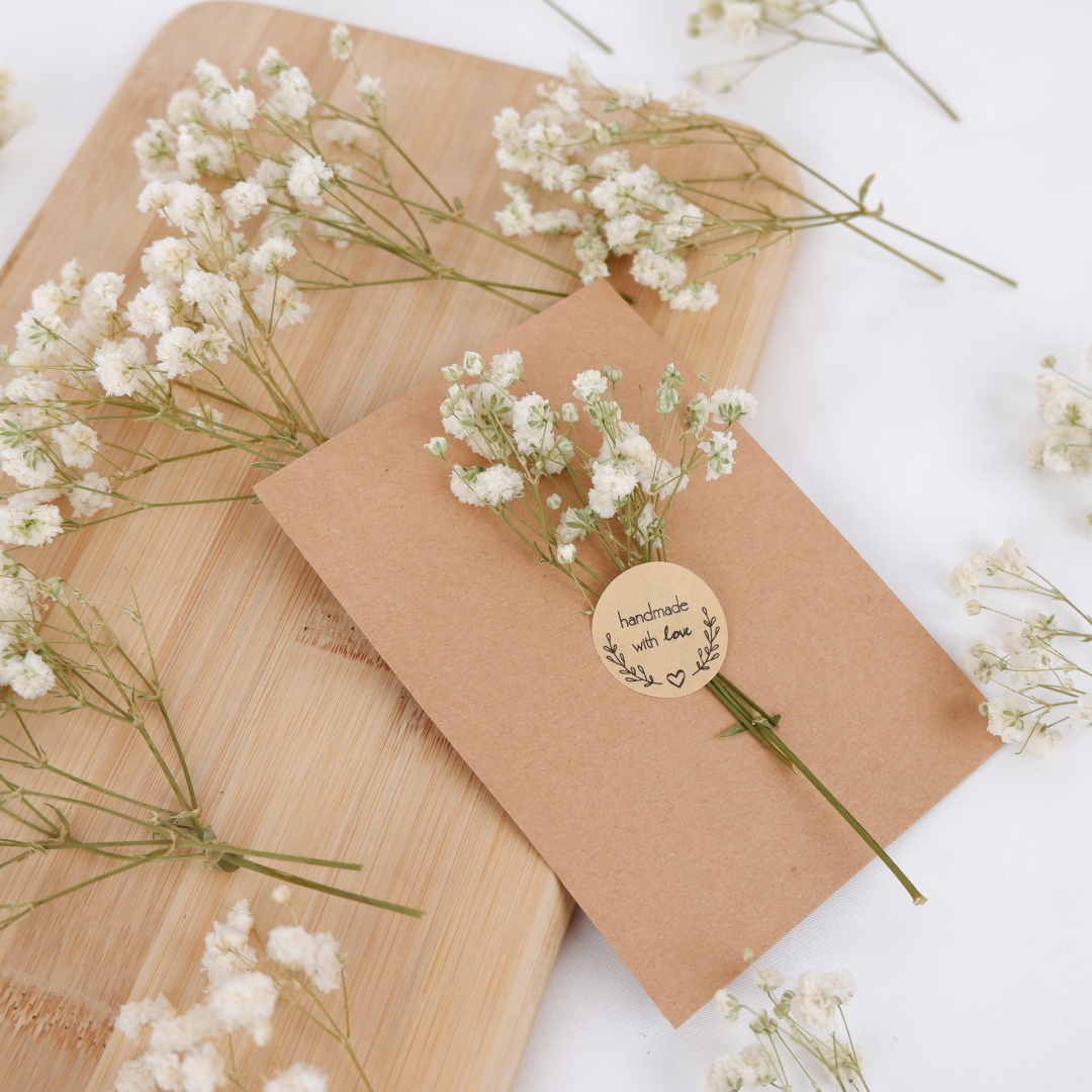 Flores secas Mini flores secas - Baby Breath Dried reseña y precio