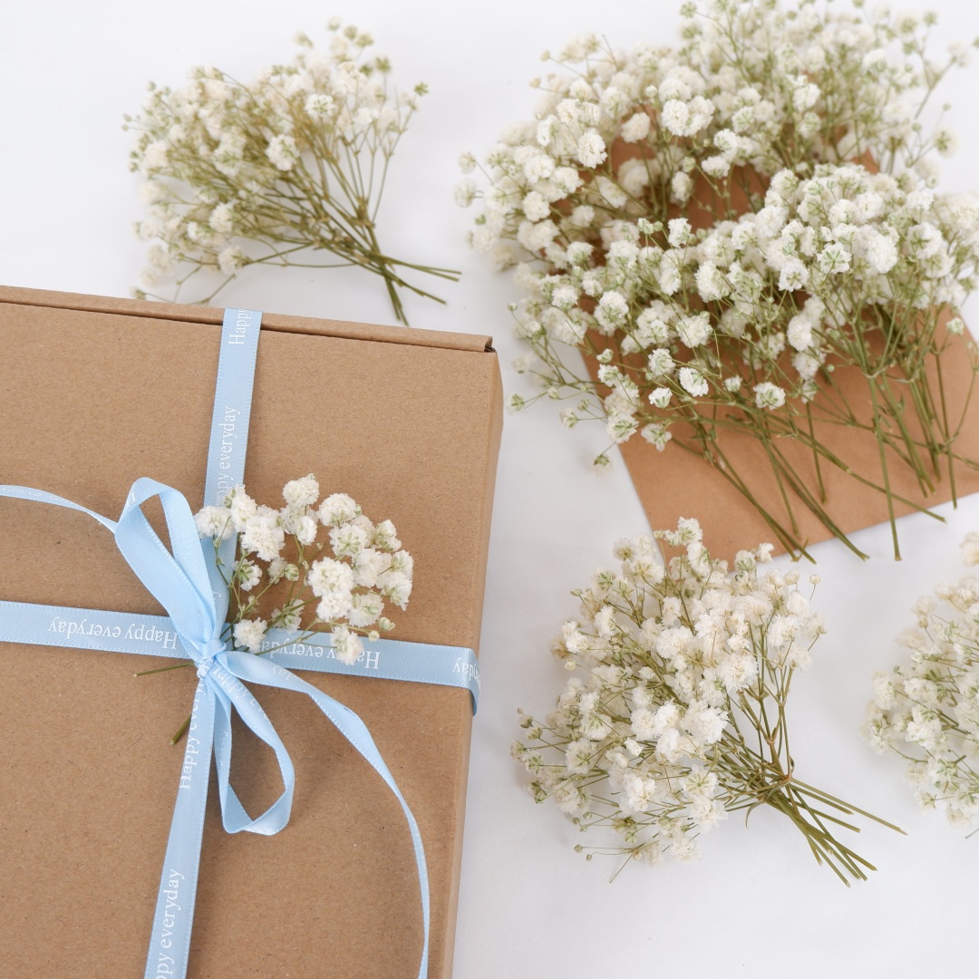 Flores secas Mini flores secas - Baby Breath Dried reseña y precio