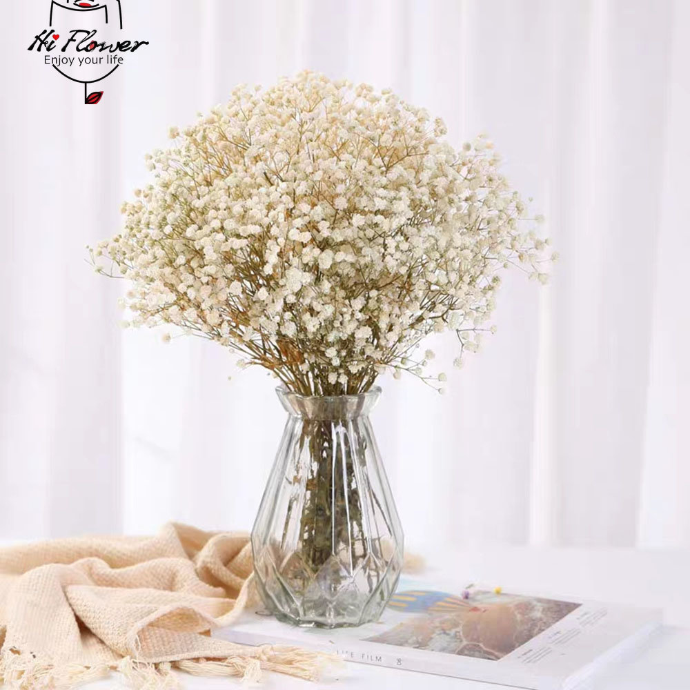 Flores secas naturales preserv - Baby Breath Dried reseña y precio