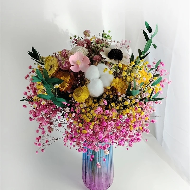 Flor seca Natural Gypsophila,  - Baby Breath Dried reseña y precio