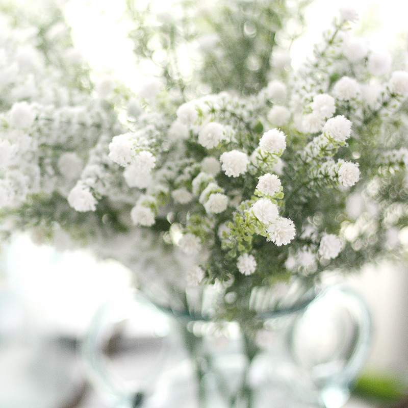 Gypsophila Artificial para beb - Baby Breath Dried reseña y precio