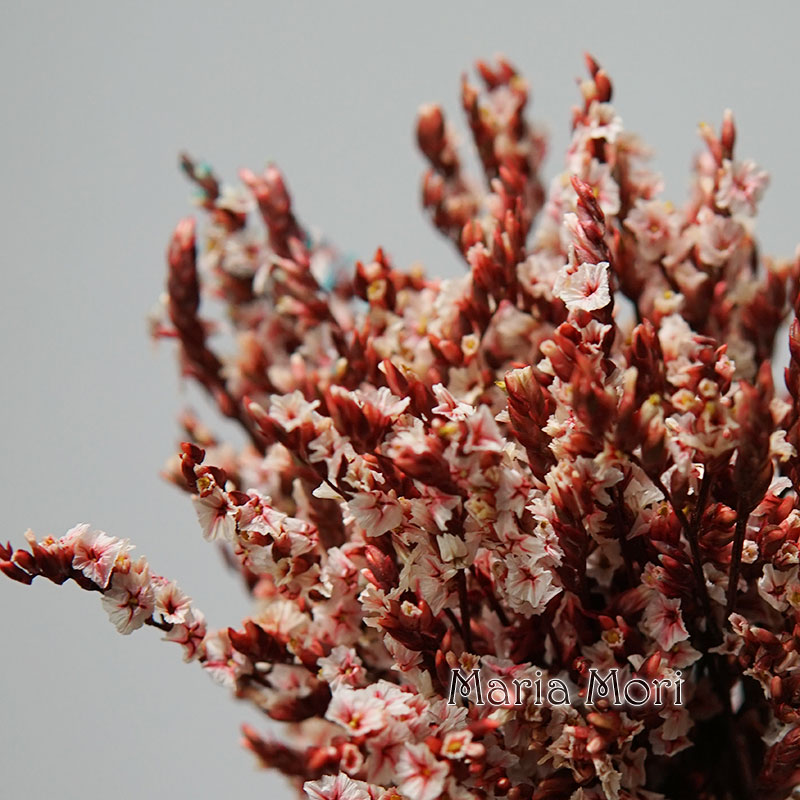 5g/colorido hierba de cristal  - Baby Breath Dried reseña y precio