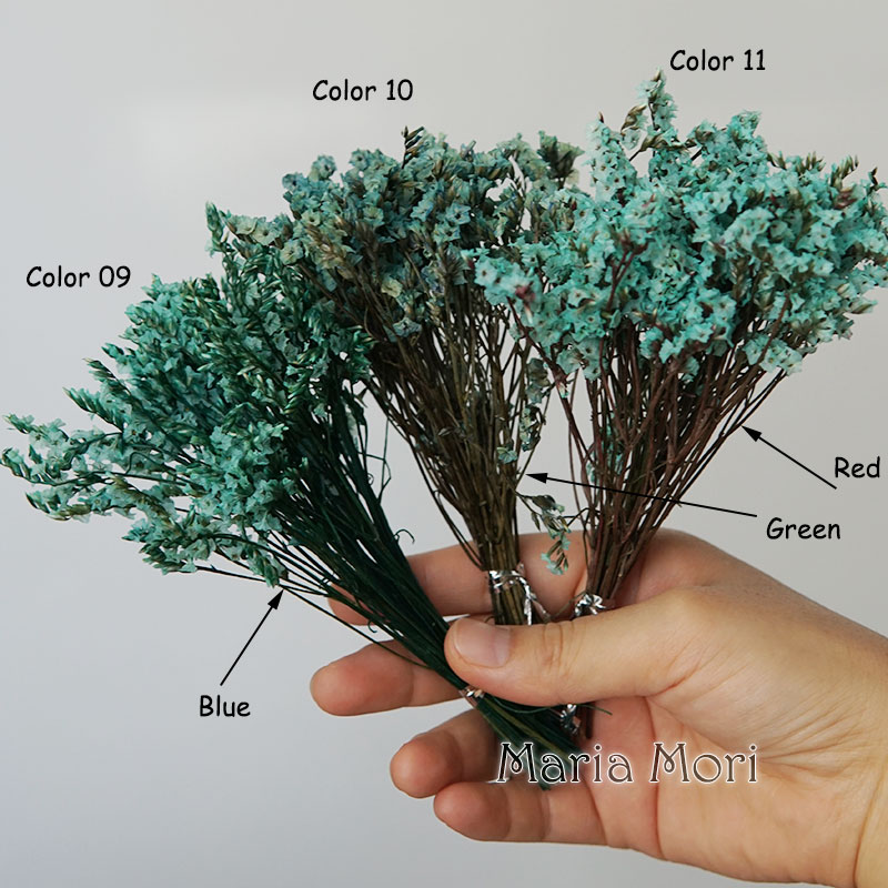 5g/colorido hierba de cristal  - Baby Breath Dried reseña y precio