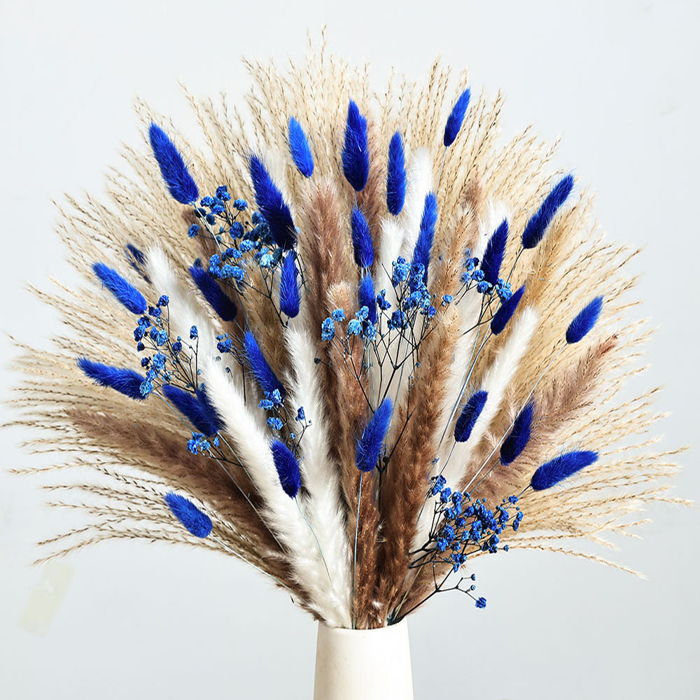 70 Uds. De Pampas azules, flor - Baby Breath Dried reseña y precio