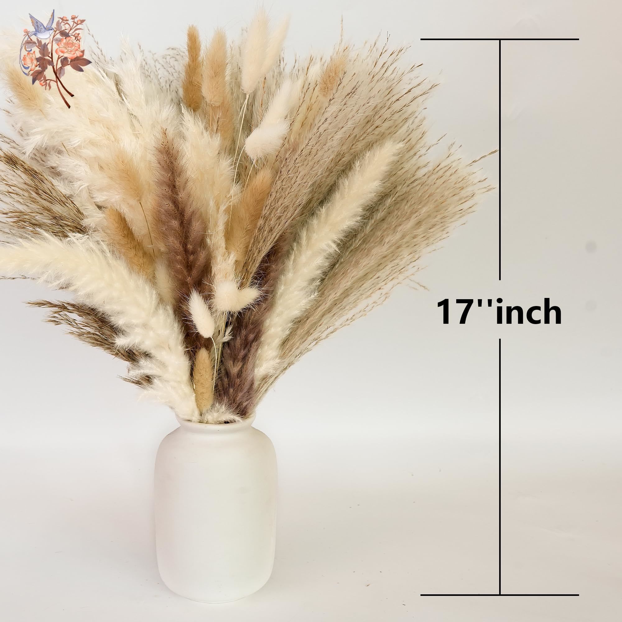 300 Uds. Ramos de flores secas - Baby Breath Dried reseña y precio