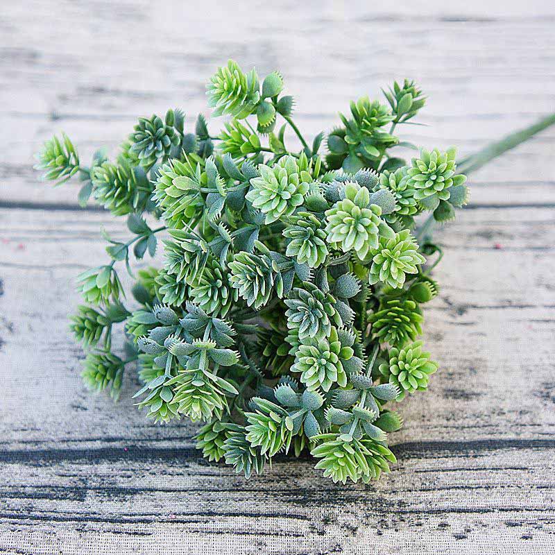 Plantas suculentas de plástico - Baby Breath Dried reseña y precio