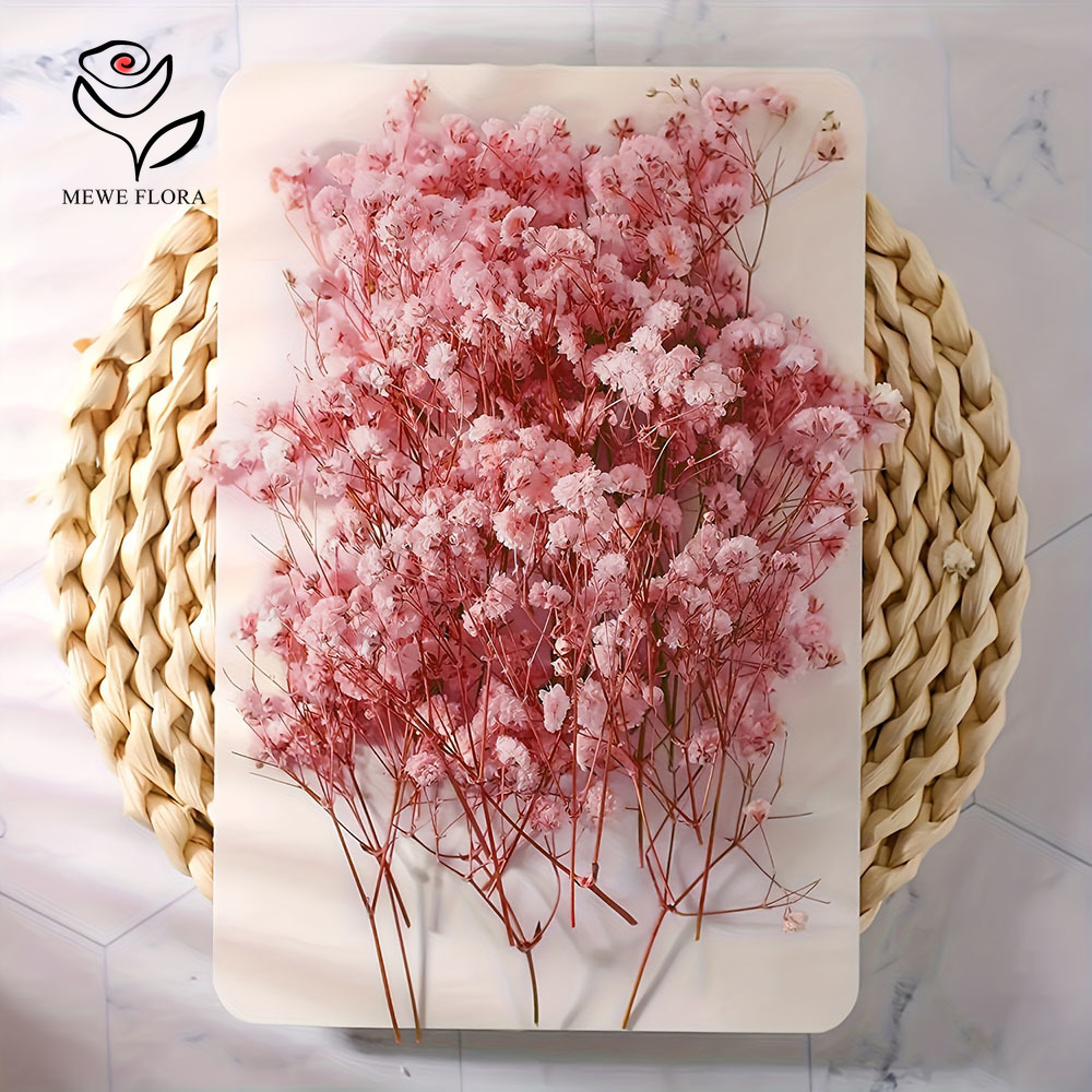 100 ramas pequeñas de flores s - Baby Breath Dried reseña y precio